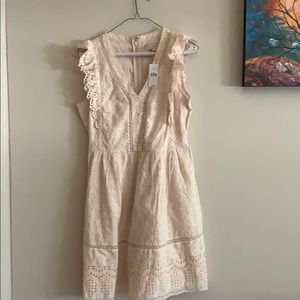 Ann Taylor Loft eyelet dress